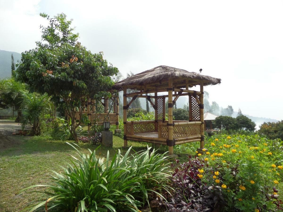فندق Istana Petani برومو المظهر الخارجي الصورة